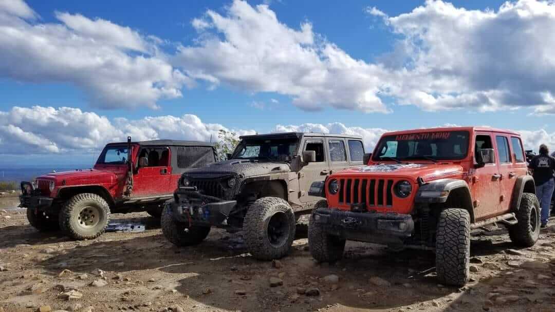 Jeeps on the trails