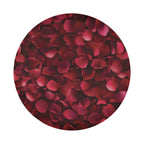 Romance Bloom spare tire cover lifestyle scene with romantic crimson rose petals all-over art