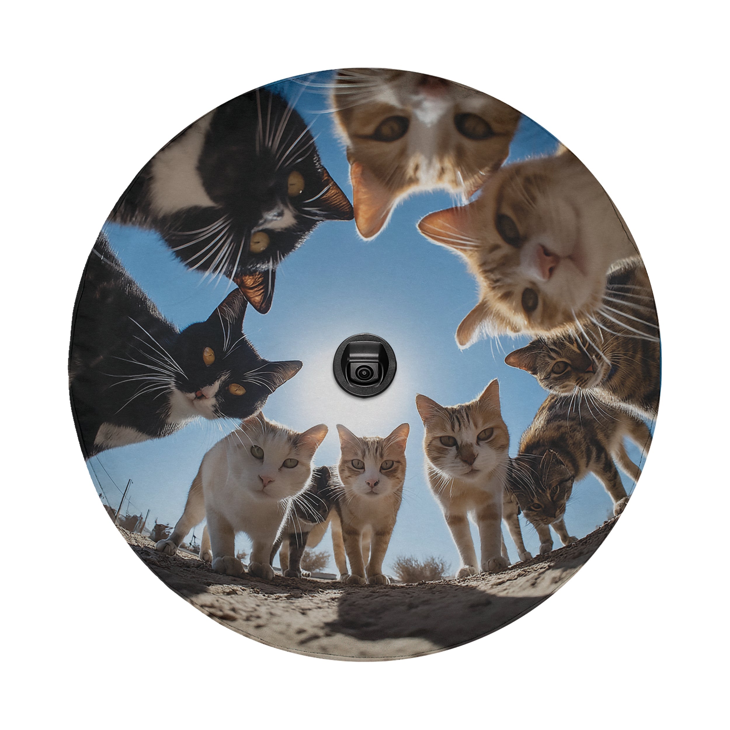 A group of cats standing together in a circle, with one cat peeking over the top of the others.