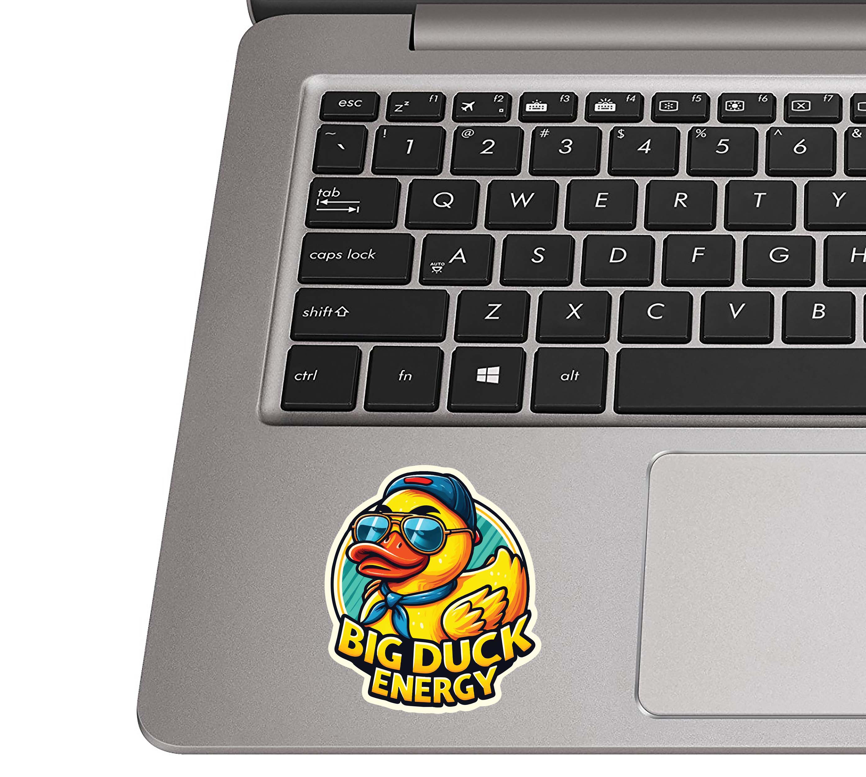 Sunny Shades Baseball Hat Big Duck Energy Vinyl Sticker