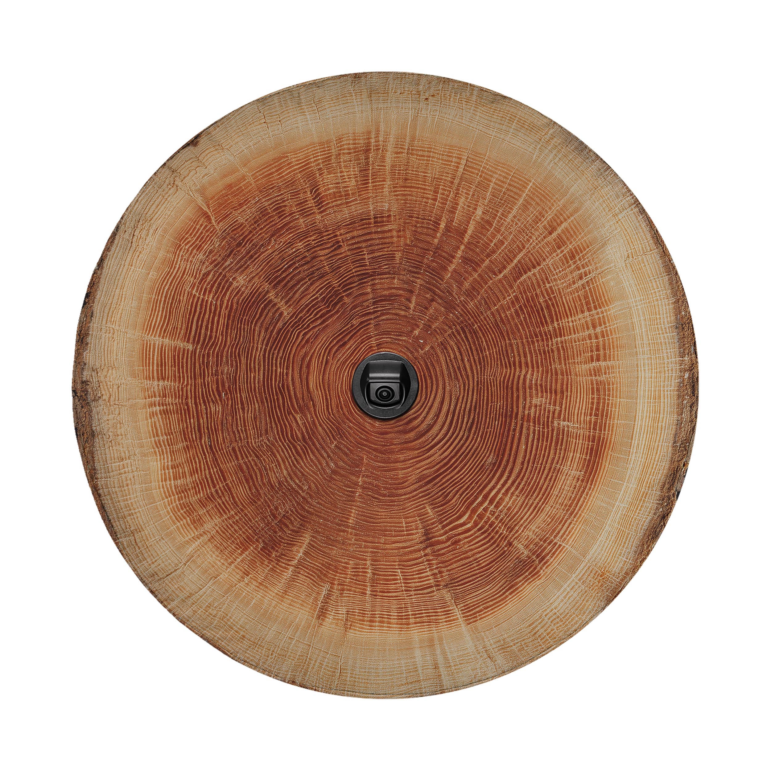 a close-up view of a wooden tree trunk or branch, with a black camera or lens visible in the center.