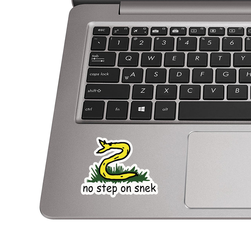 No step on snek meme sticker placed on a silver laptop palm rest near a black QWERTY keyboard for scale