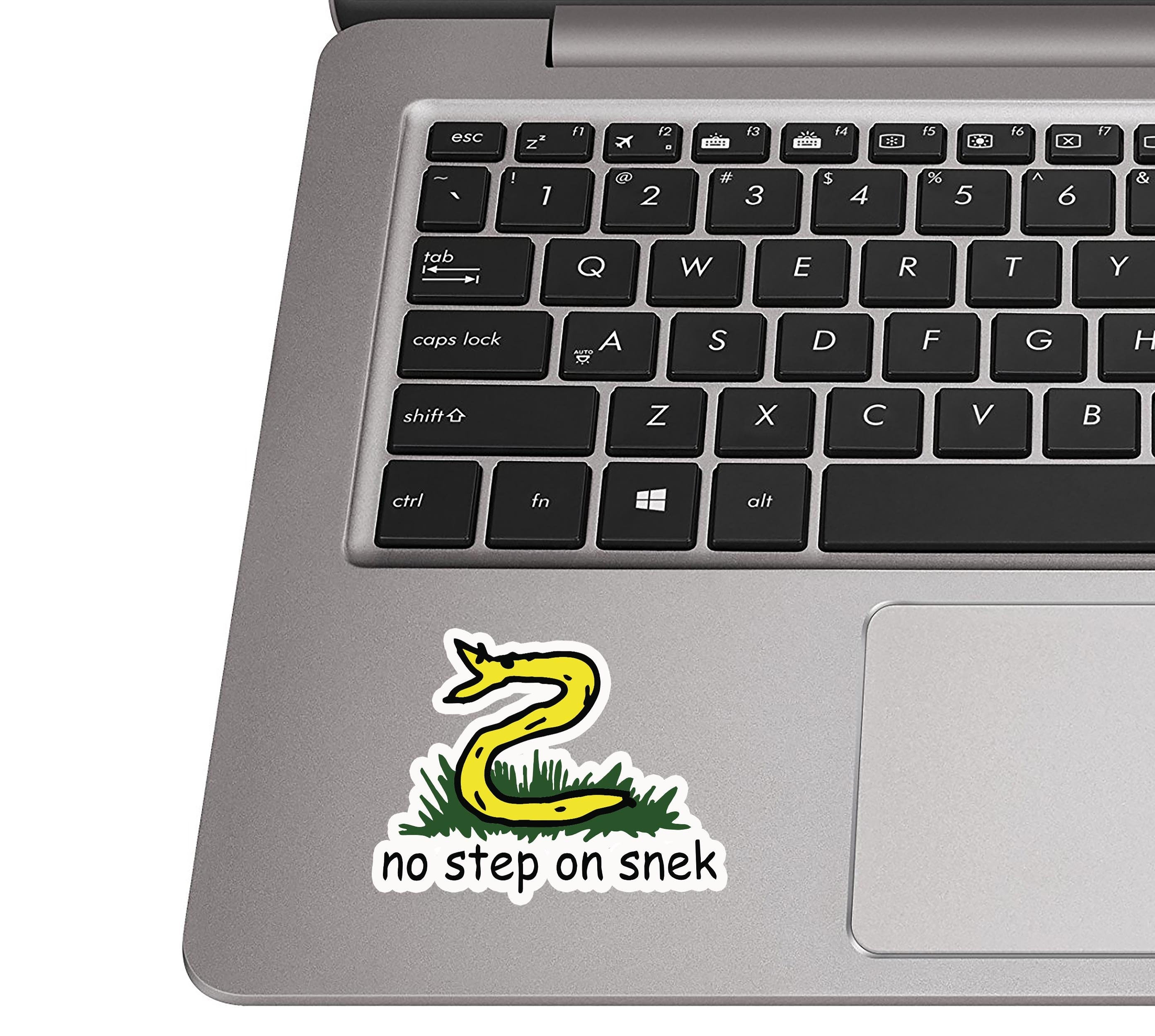 No step on snek meme sticker placed on a silver laptop palm rest near a black QWERTY keyboard for scale
