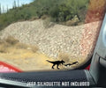 Jeep Windshield T-Rex Easter Egg Companion Vinyl Decal