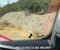 Jeep Windshield Unicorn Easter Egg Companion Vinyl Decal